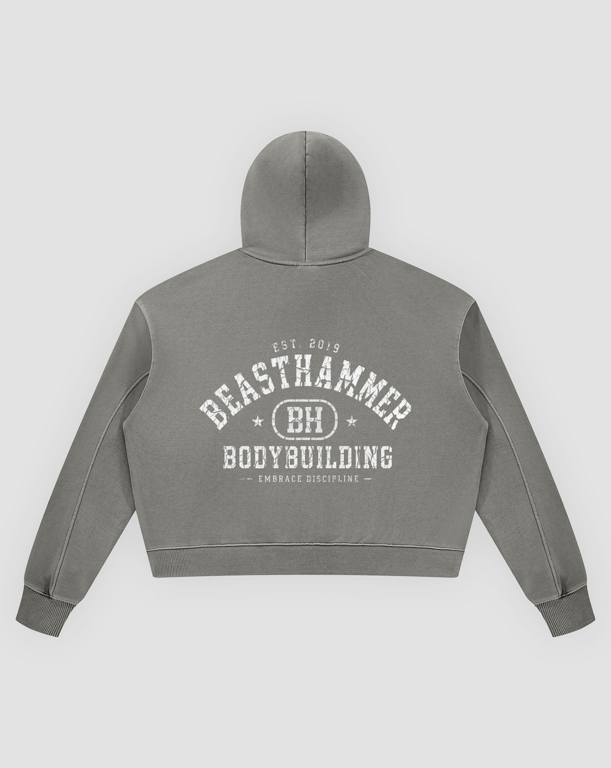 BEASTHAMMER Rest washed boxy hoodie in grey, flat back view with the collegiate BEASTHAMMER BODYBUILDING arch print