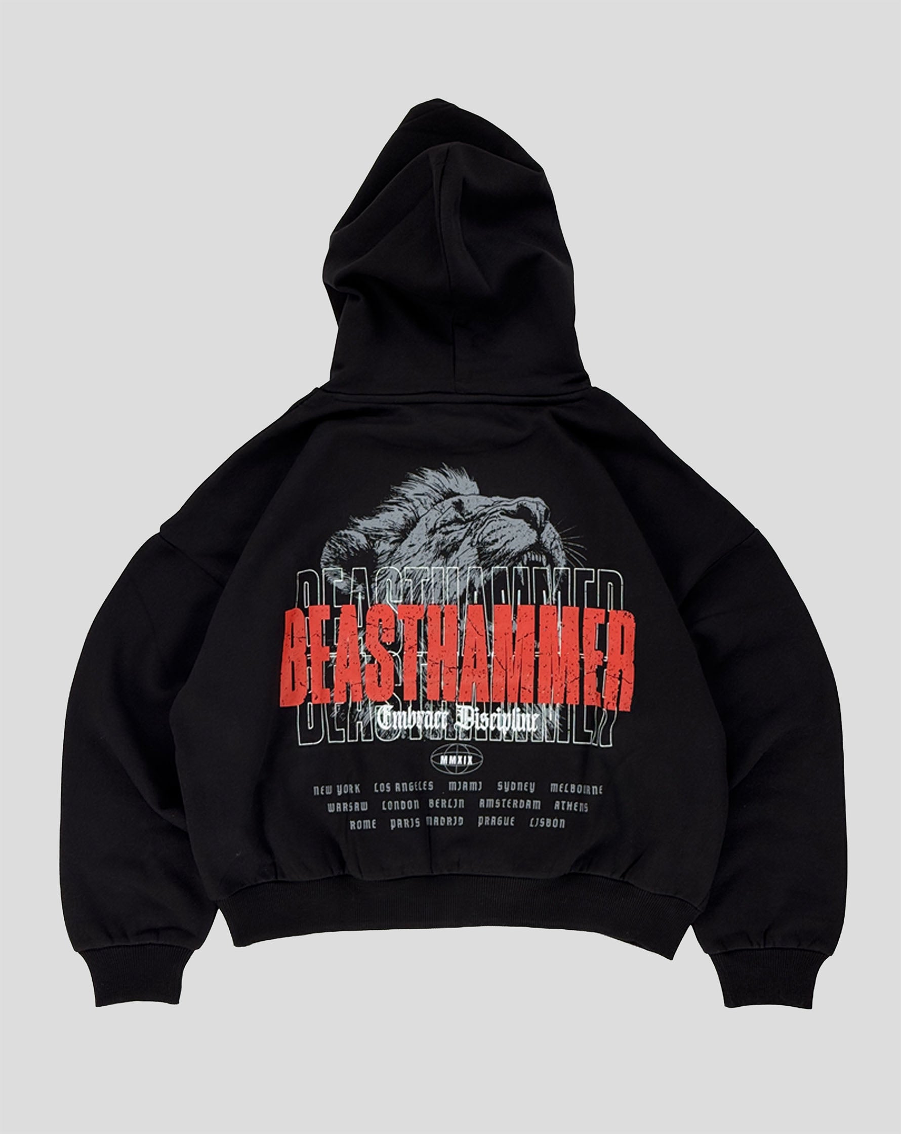 Embrace Discipline Cropped Hoodie